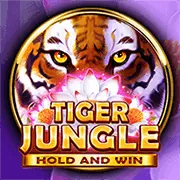 Xu hướng cá cược thể thao tại Win550