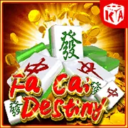 Tránh cược theo cảm tính