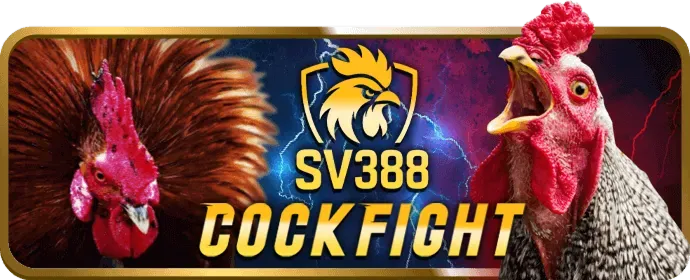 Đá gà cựa sắt Win550 với tỷ lệ cược hấp dẫn